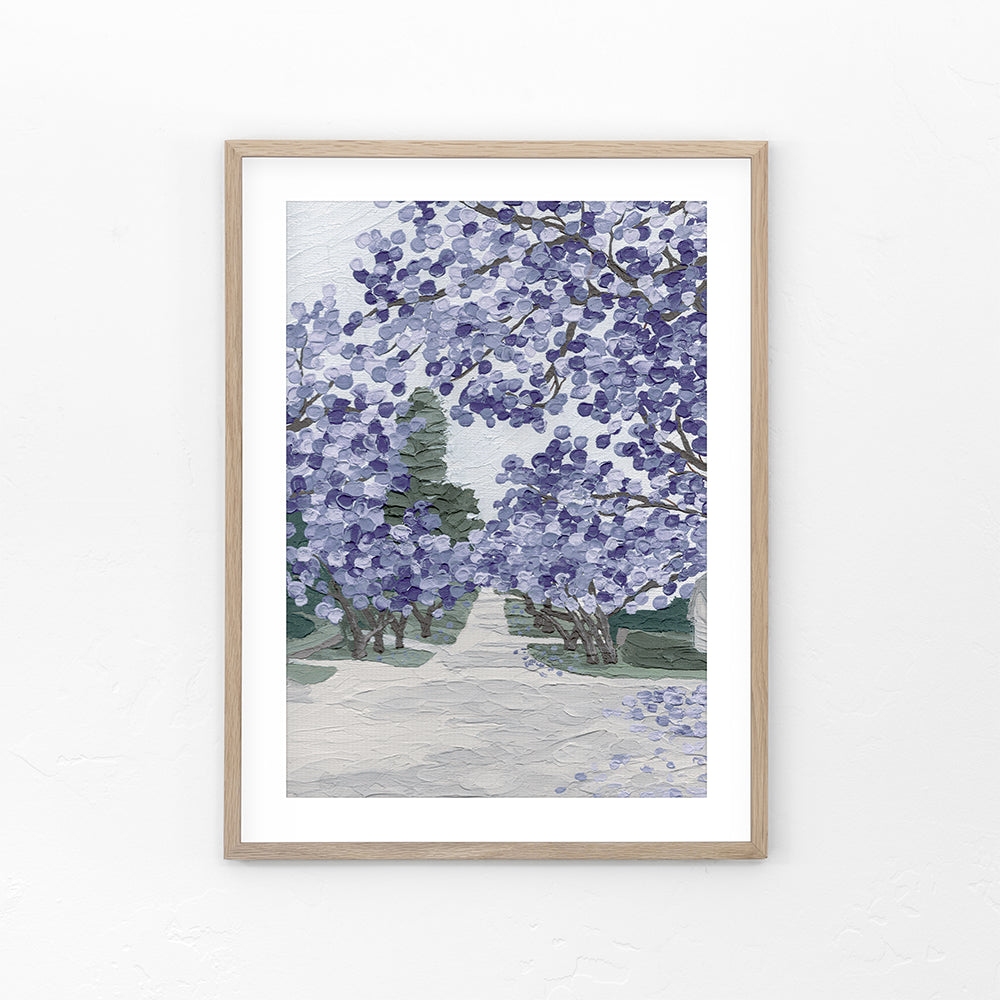 Jacaranda Season - Fine Art Print