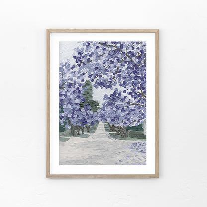 Jacaranda Season - Fine Art Print